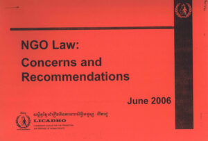NGO Law: Concerns and Recommendations.